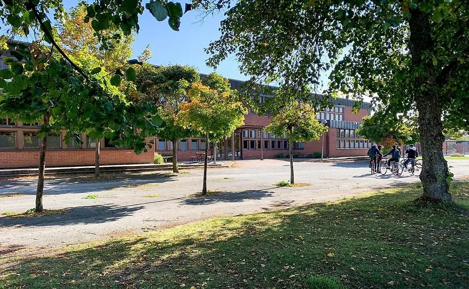 Karlsängskolan, träd framför byggnaden som är byggd i tegel