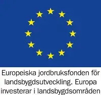 EU flagga