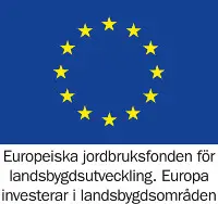 EU flagga