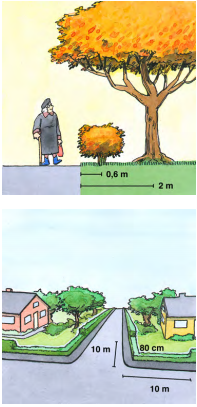 Bild-illustration för höjdmått på häck vid hörntomt
