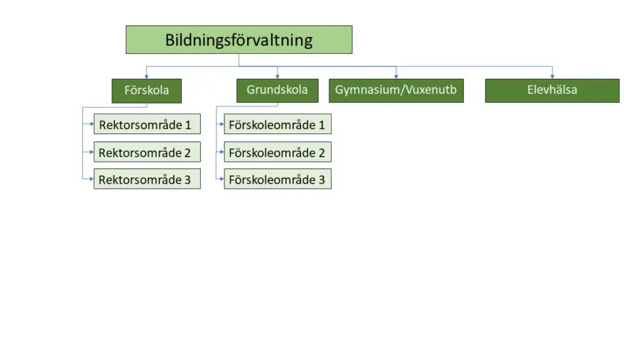 Bildningsförvaltningens organisation